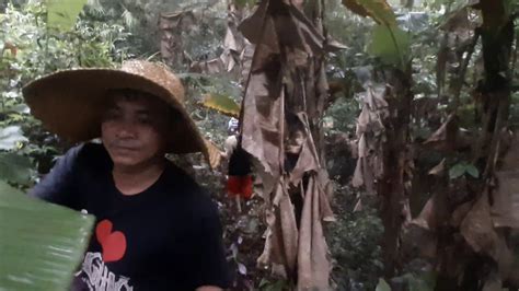 pulandit gapang|Makukulay Na Istorya: GAPANG 4 .